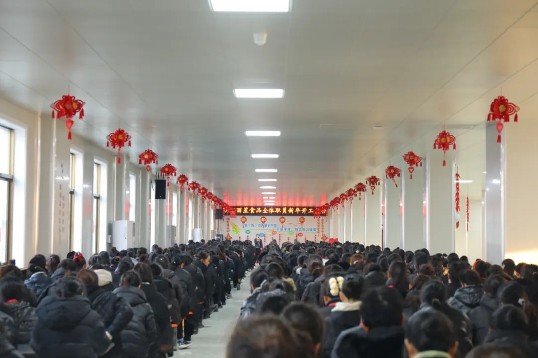 玉兔迎新春，奮進(jìn)新征程